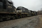 NS 4458 on 10Z